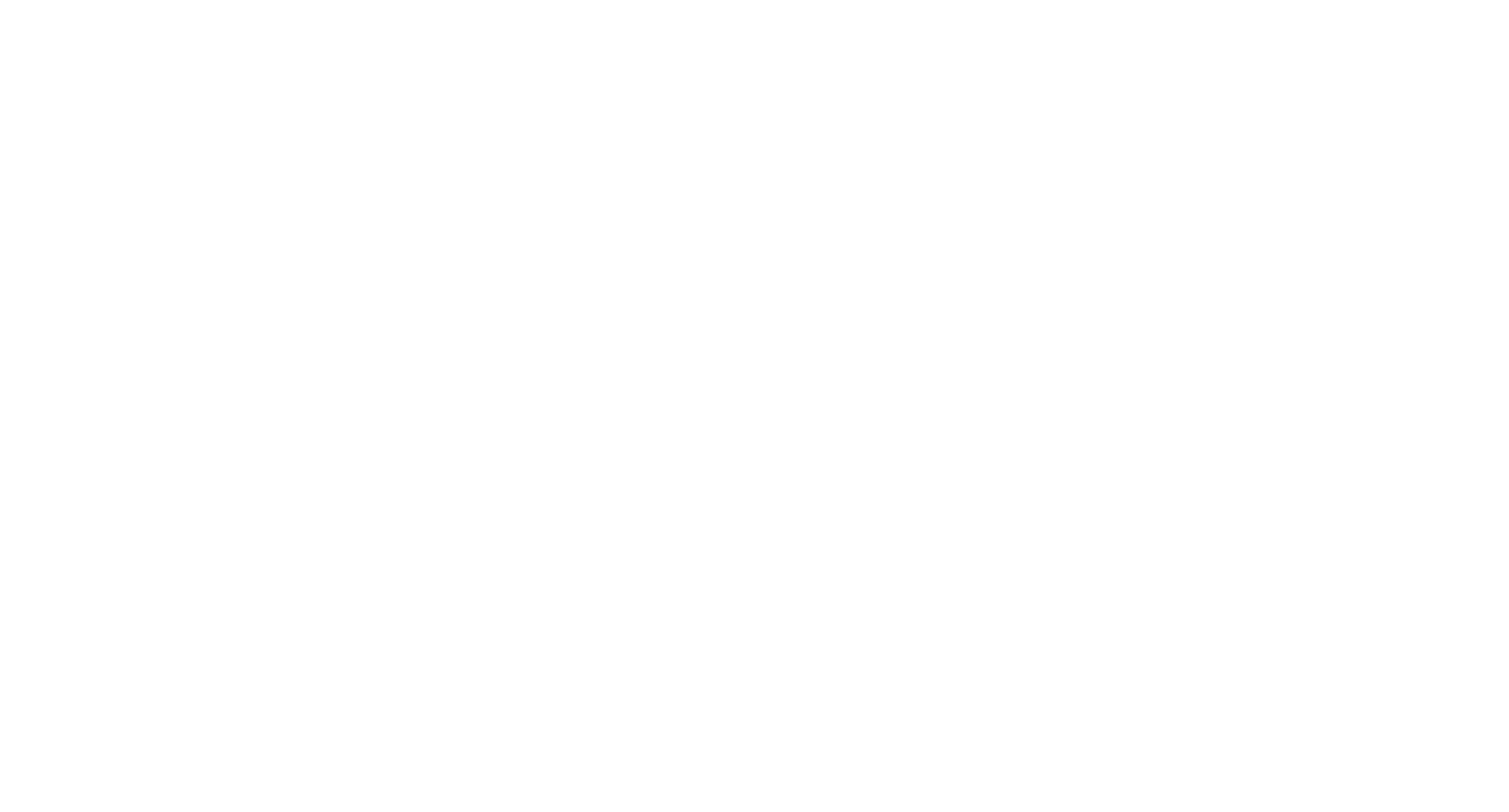Zenna by Rokstars logo